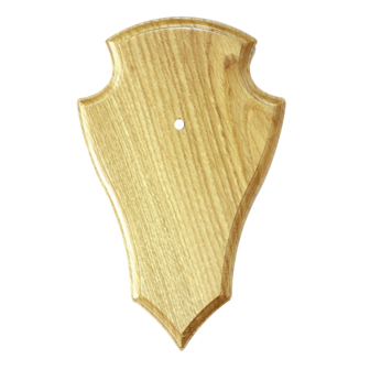 Carved shield for trophy ree