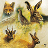 Papieren servetten 20 stuks - Wild mix
