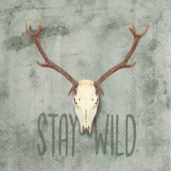 Papieren servetten 20 stuks - Stay wild