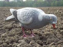 Beflockte volle duif + voet 5 stuks Beflockte volle duif + voet 5 stuks